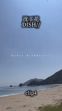 沈丁花/DISH//