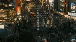 私の日本の思い出