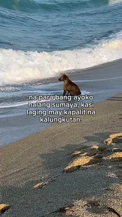 laging may kapalit e