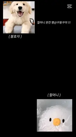 빵꾸똥꾸야!