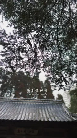 雨の神社