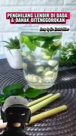 penghilang lendir