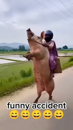 funny accident