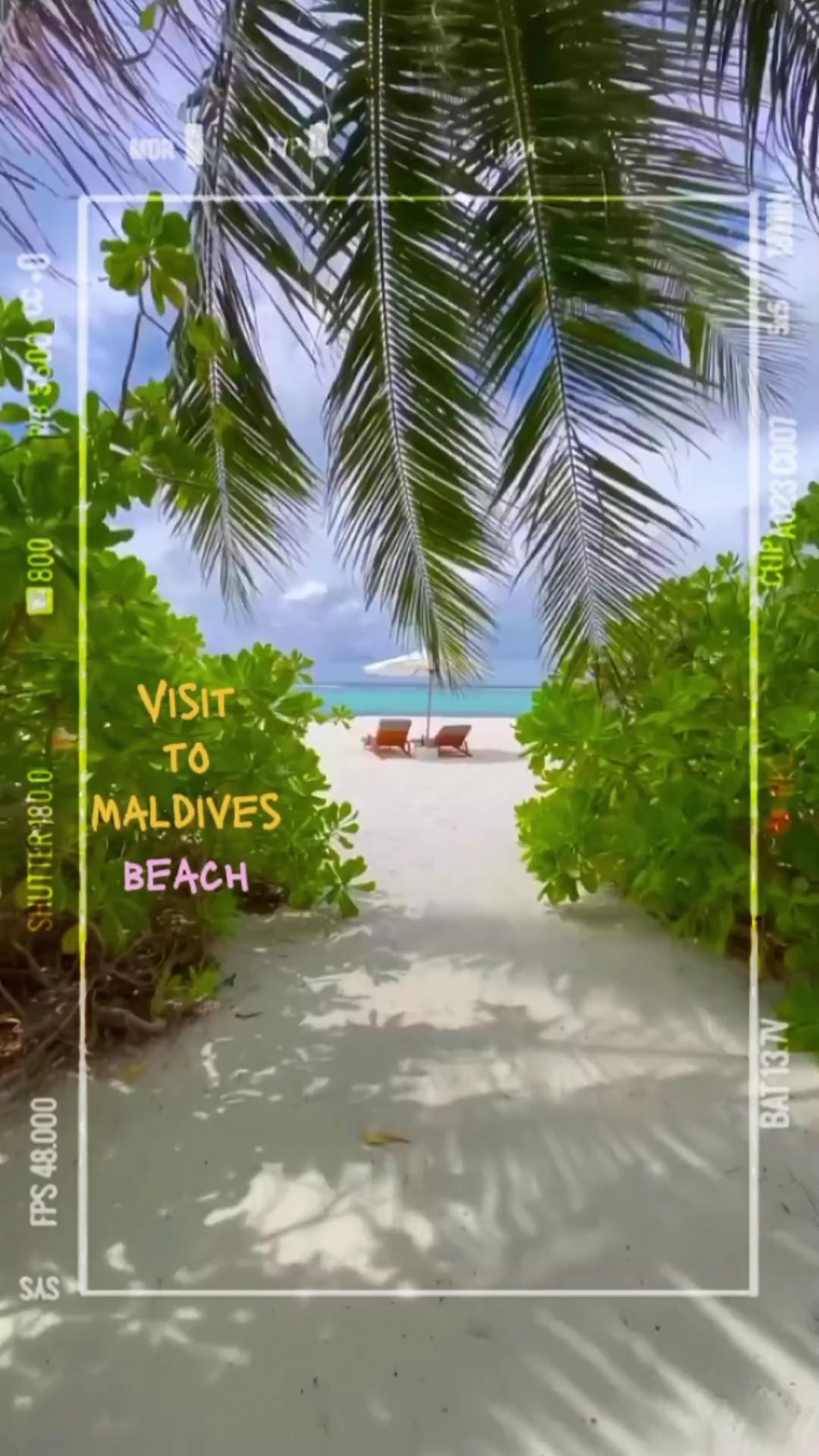 Visite à la plage