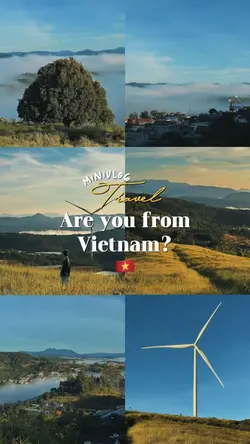 Are you from Vietnam