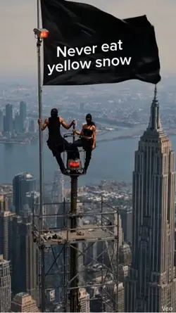 Flag meme