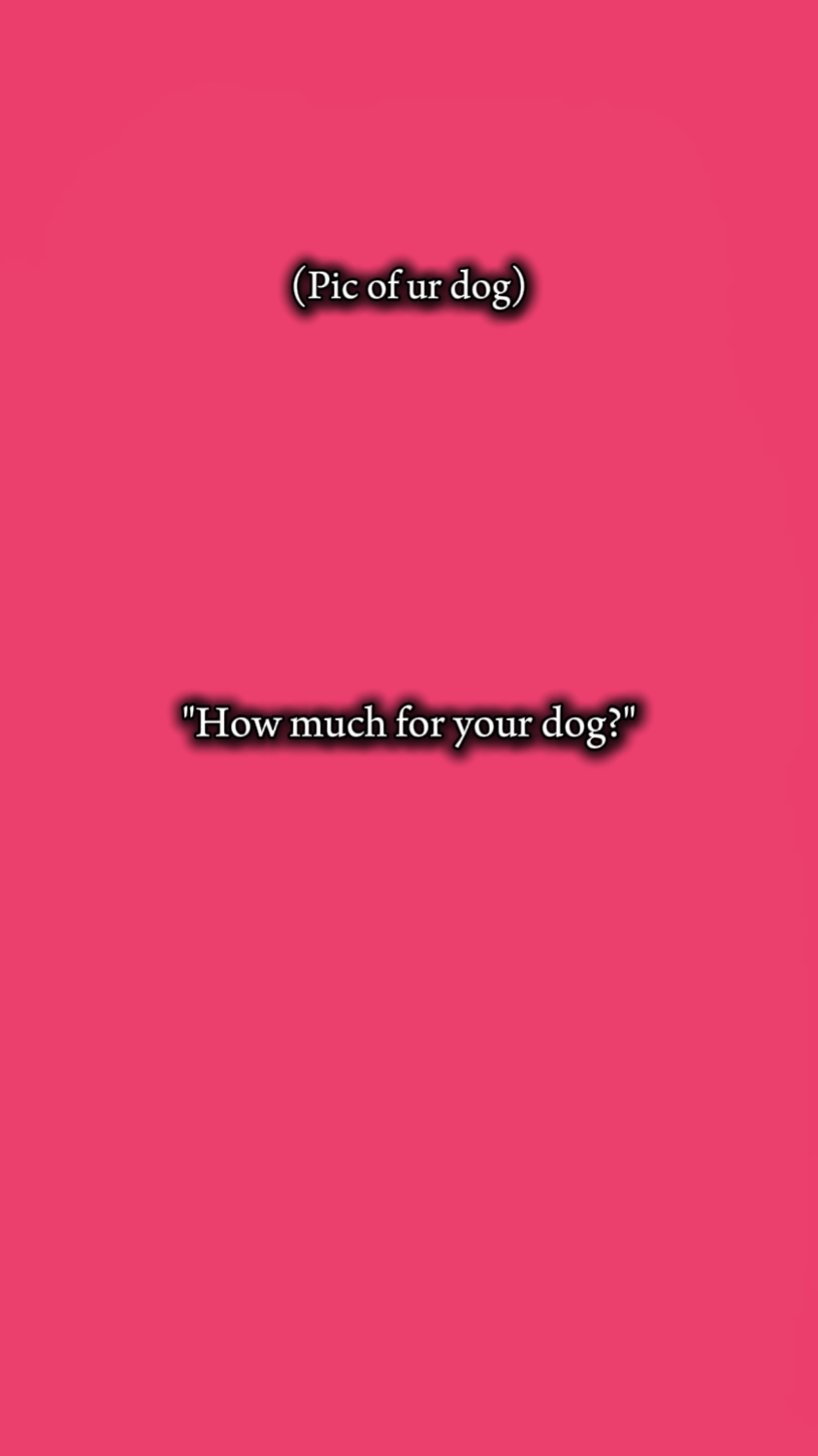 Wie viel für Ihren Hund?