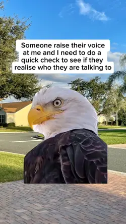 raise their voice