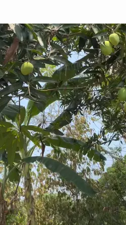 pov cewe gaada kabar