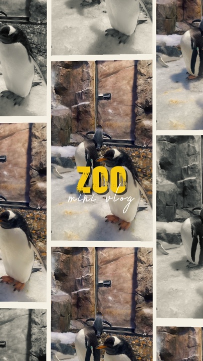 Zoo mini vlog