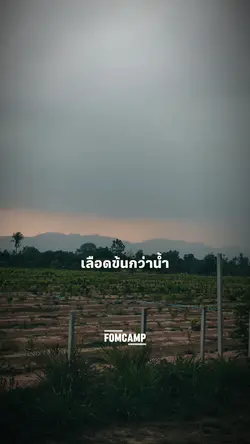 คนชอบพูดว่าเลือดข้น