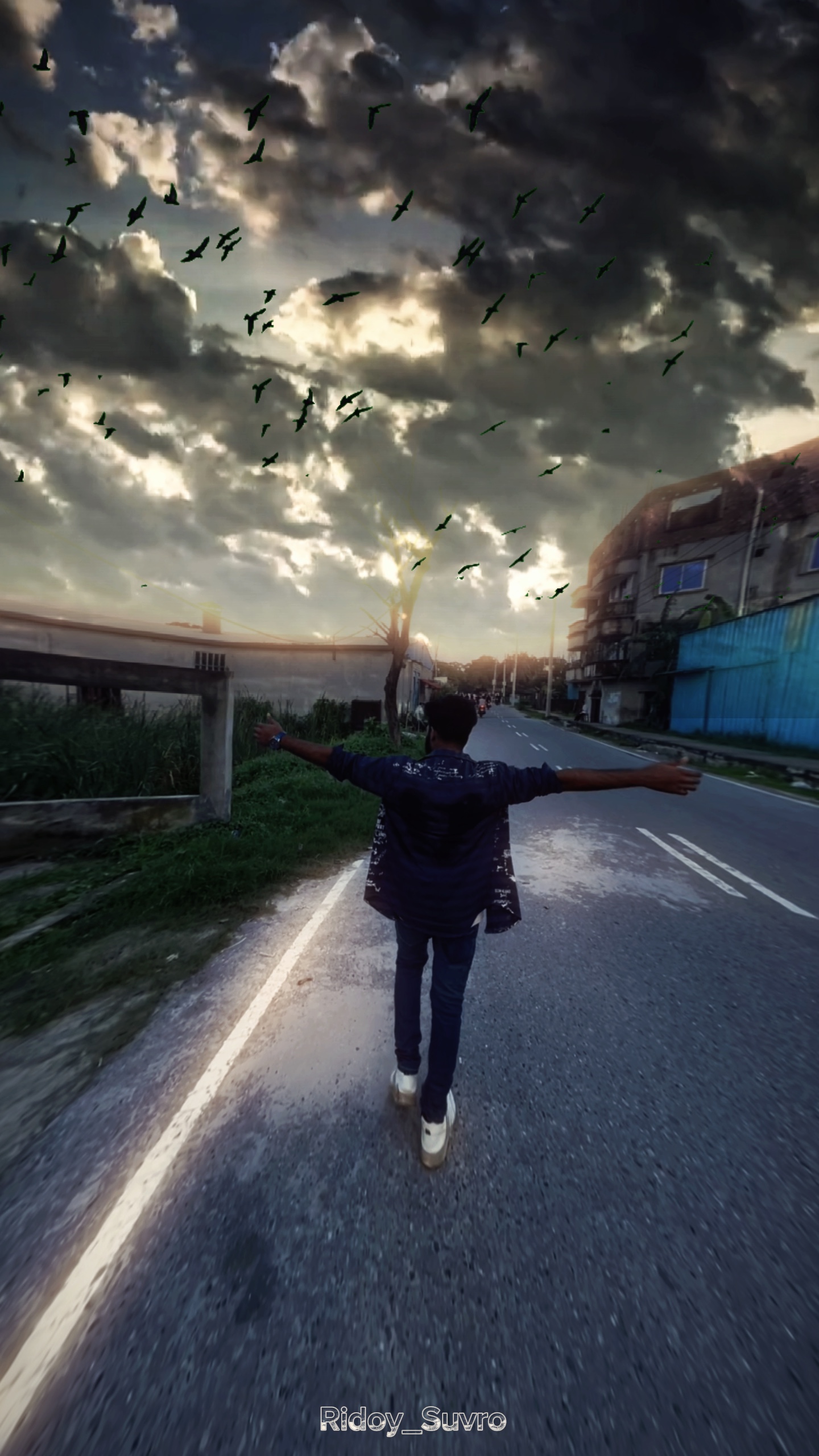 Cover Picture