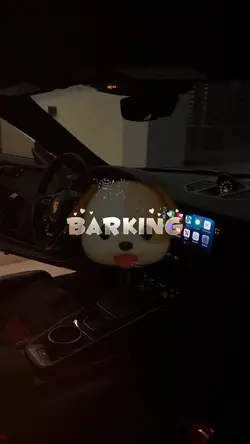 TING FROM BARKING