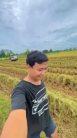 Panen hd