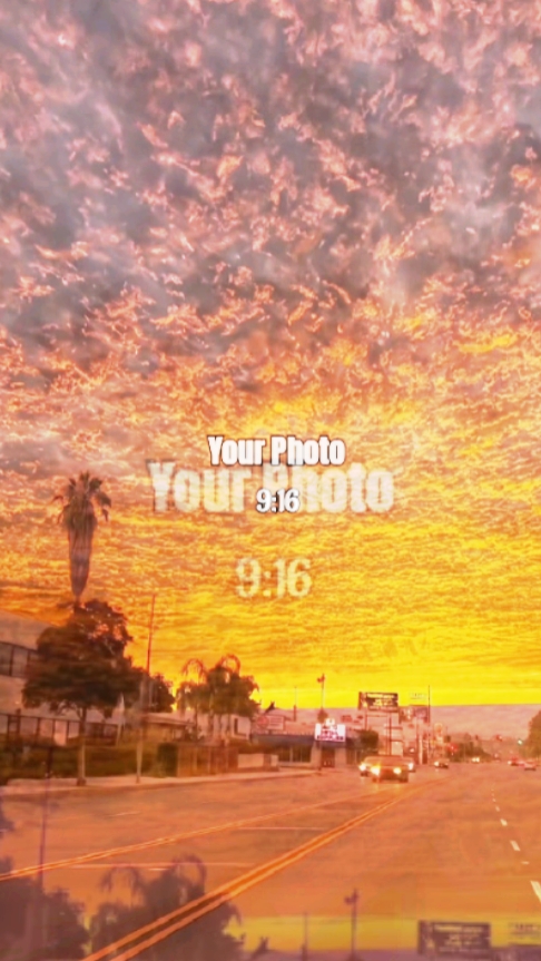 มาดูผีเสื้อห้องพีมัย