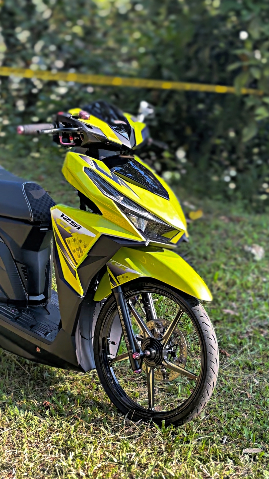 Cover Picture
