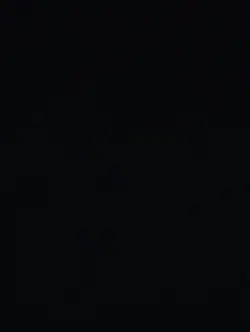 Vittu pona vaasalile