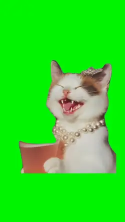 Laughing Cat