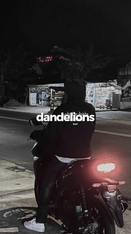 Cover Picture