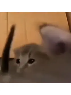 naa naaa
