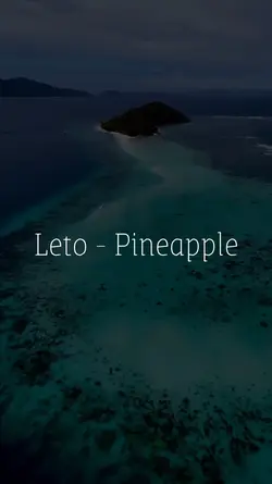 Leto - Pineapple