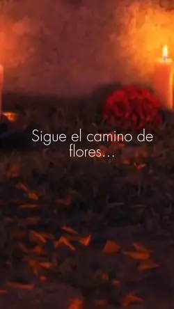 Sigue el camino