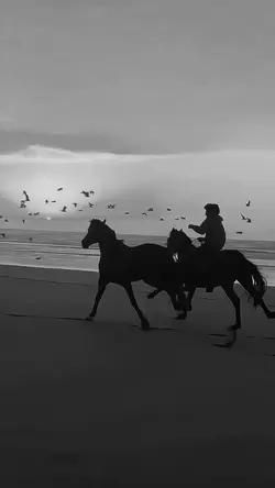 BLACK AND WHITE 🖤🤍