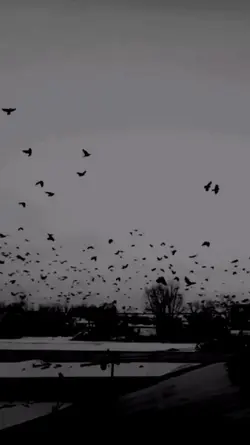 ربي إنها أمي