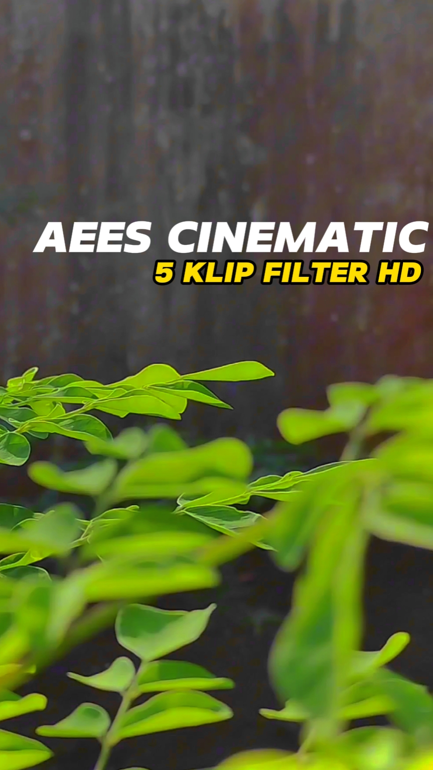 Aees Sinematik