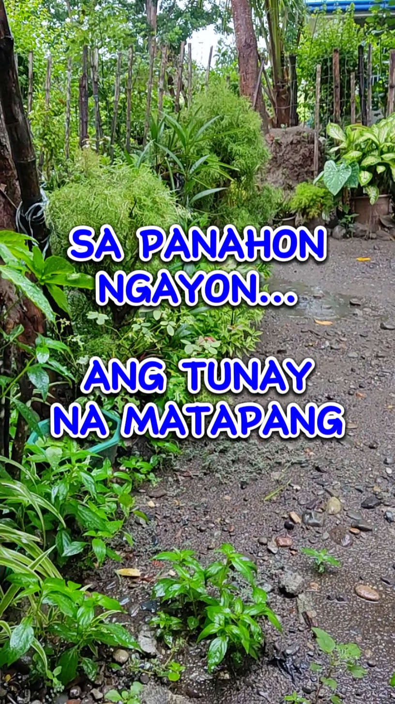Matapang
