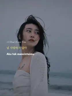 I Don't Love You