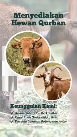 Promo Hewan Qurban
