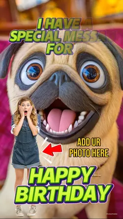 Happy B pug