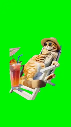 Suntanning Cat Meme
