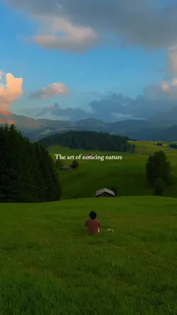 the art of noticing