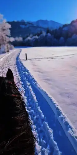 Snow ride 🤩