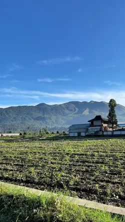 JERNIH BANGET