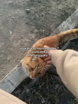 menungguku ?