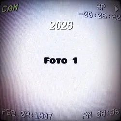 2026 2024 2020