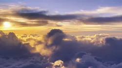 Właśnie tam rośniesz