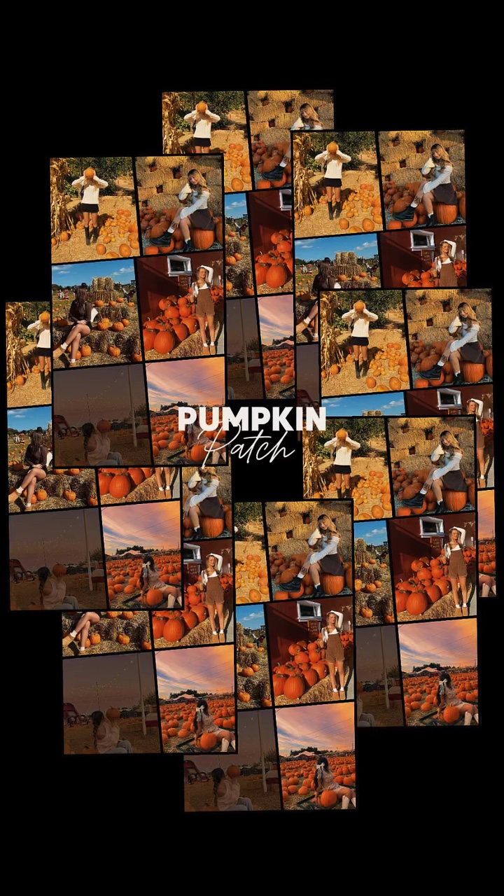 Parche de calabaza 🎃