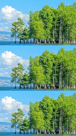 3pics aesthetic 