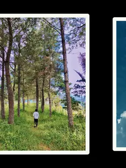 7Pic Trend Aesthetic