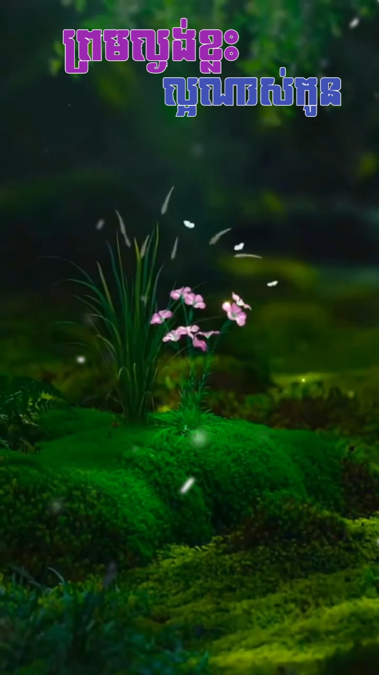 ព្រមល្ងង់ខ្លះ