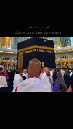 yeni şablon 