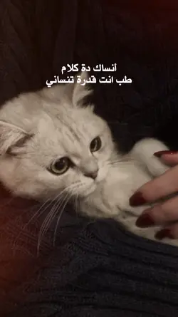 Arabic song 
