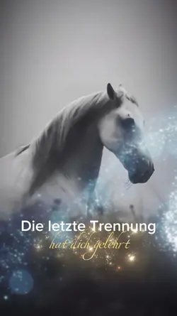 die letzte Trennung