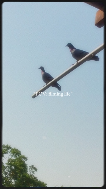 filming life