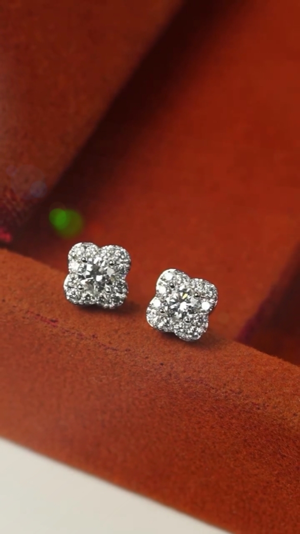 A New Earrings
