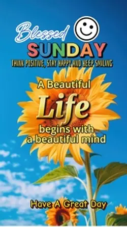 A beautiful life